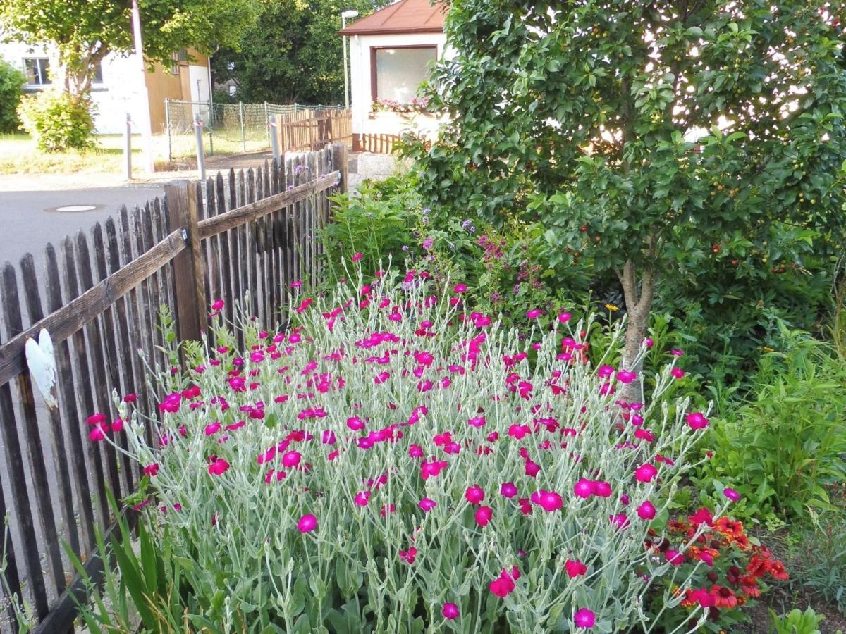 Apartment With Terrace And Pool In The Garden Pracht エクステリア 写真