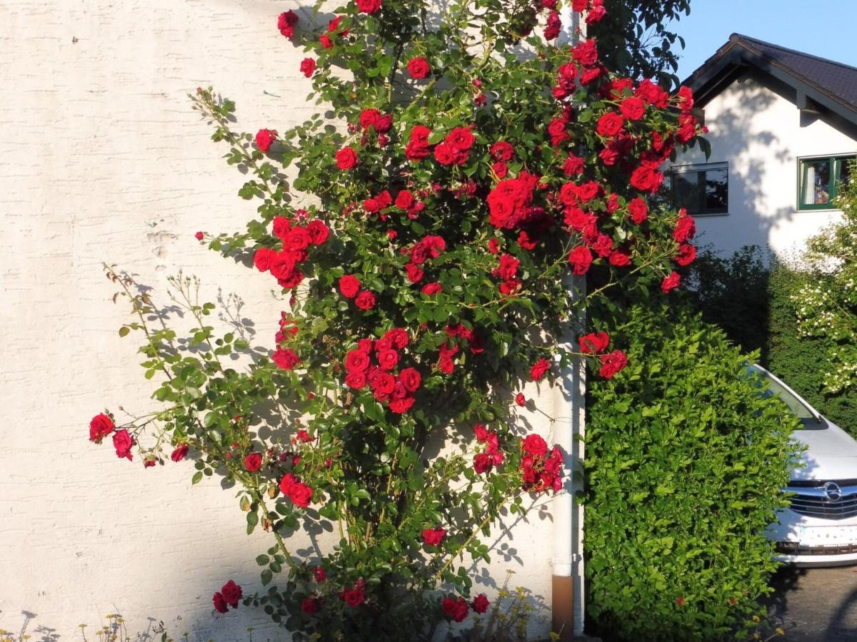 Apartment With Terrace And Pool In The Garden Pracht エクステリア 写真
